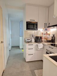 Riz Haven (D17), Apartment #481971391